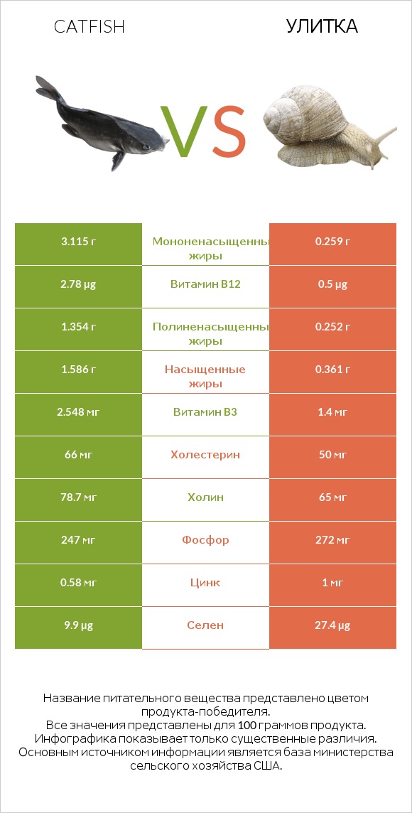 Catfish vs Улитка infographic