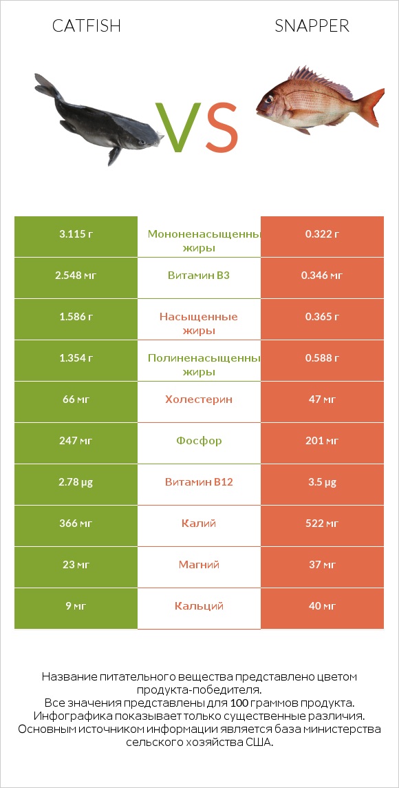 Catfish vs Snapper infographic