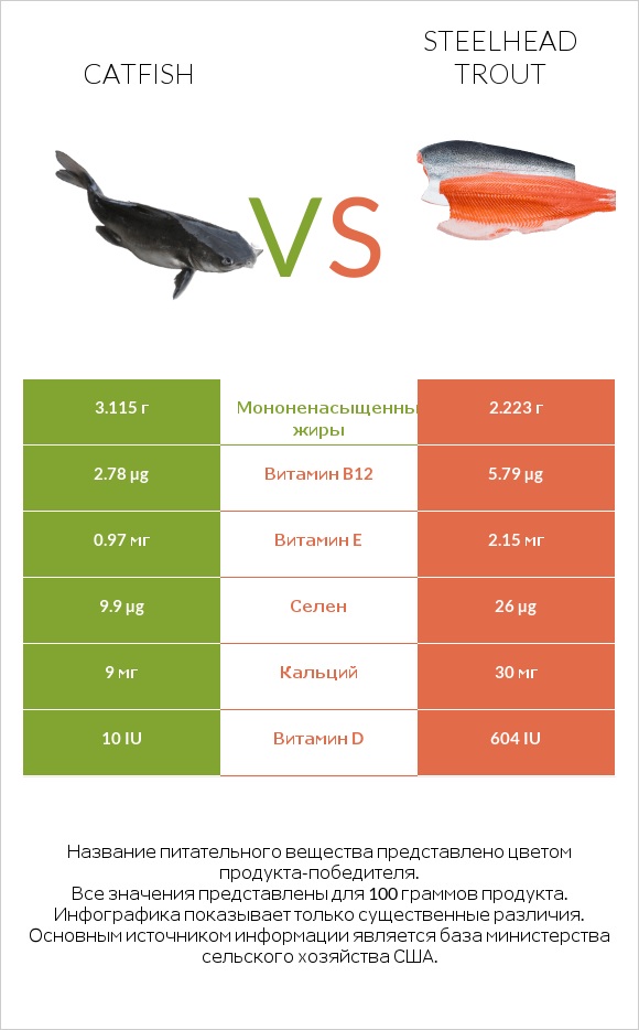 Catfish vs Steelhead trout infographic