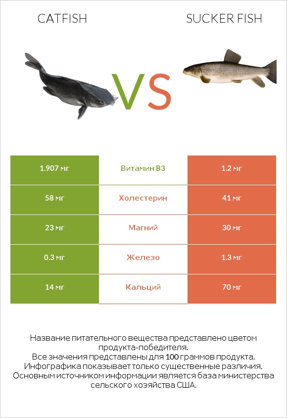 Catfish vs Sucker fish infographic