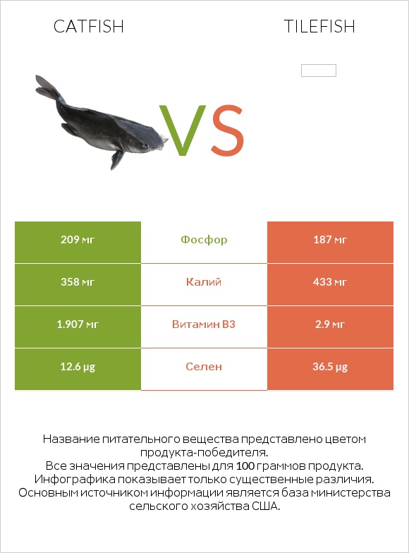 Catfish vs Tilefish infographic