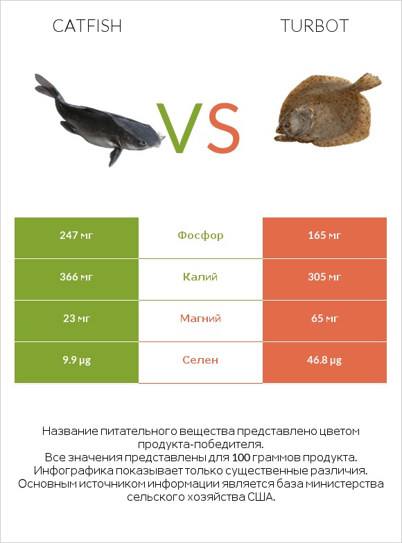 Catfish vs Turbot infographic