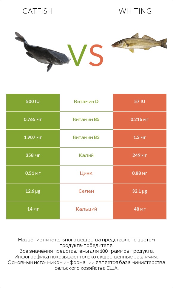 Catfish vs Whiting infographic