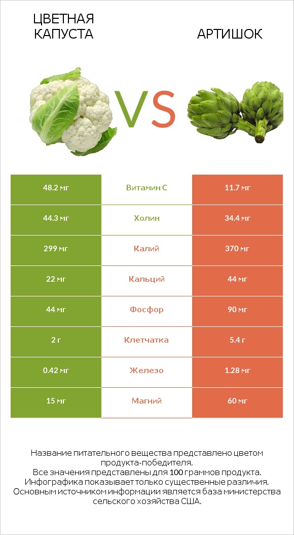 Цветная капуста vs Артишок infographic