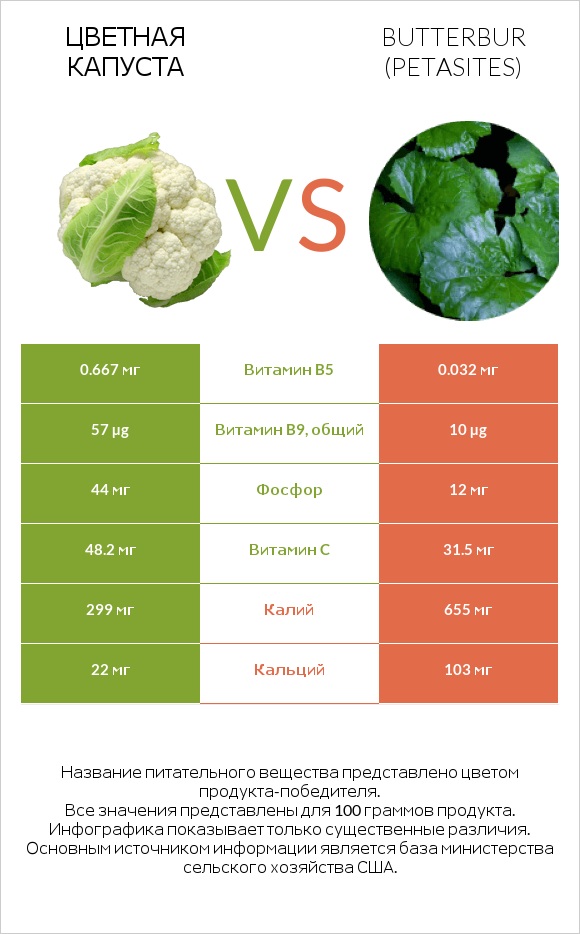 Цветная капуста vs Butterbur infographic