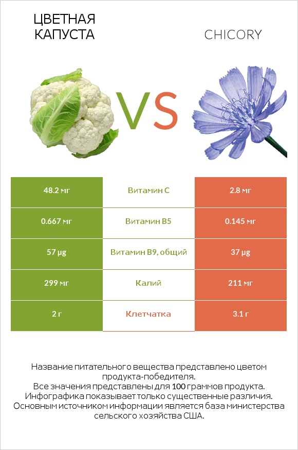 Цветная капуста vs Chicory infographic