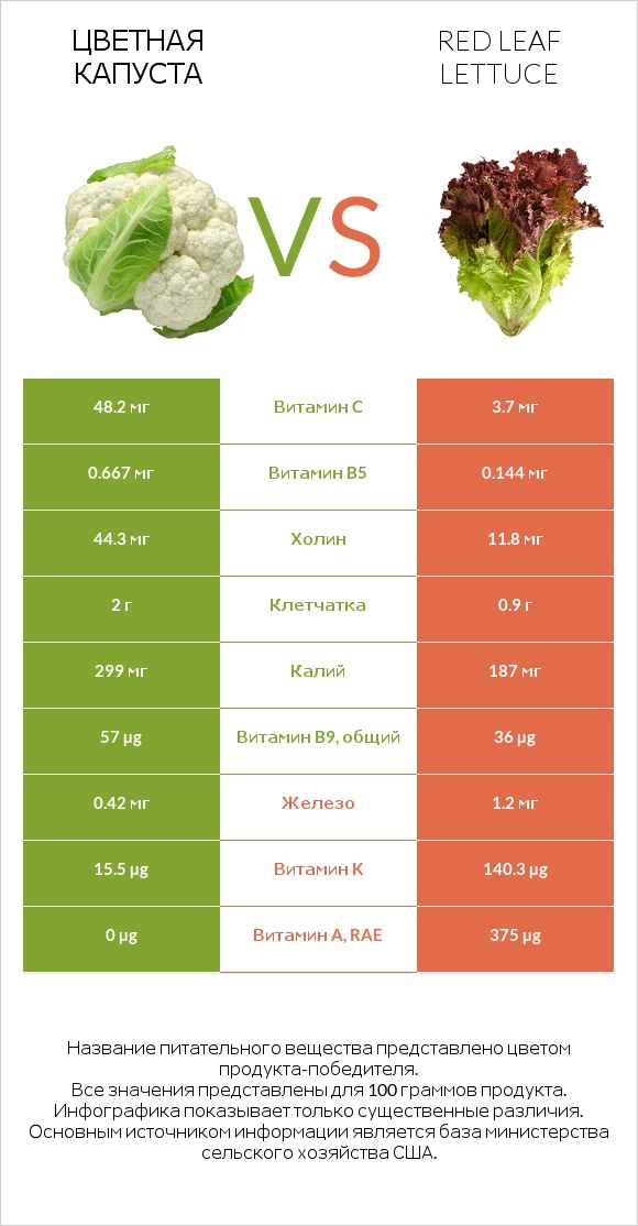 Цветная капуста vs Red leaf lettuce infographic