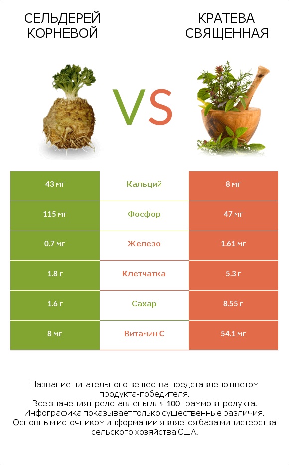 Сельдерей корневой vs Кратева священная infographic