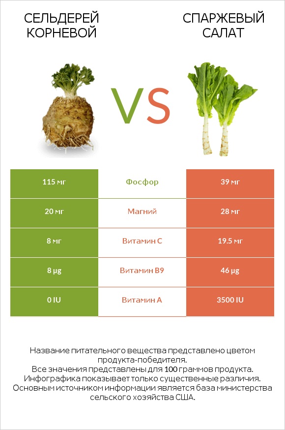 Сельдерей корневой vs Celtuce infographic