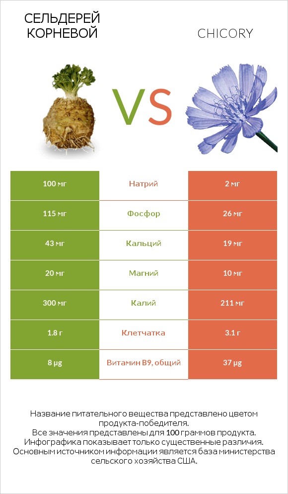 Сельдерей корневой vs Chicory infographic