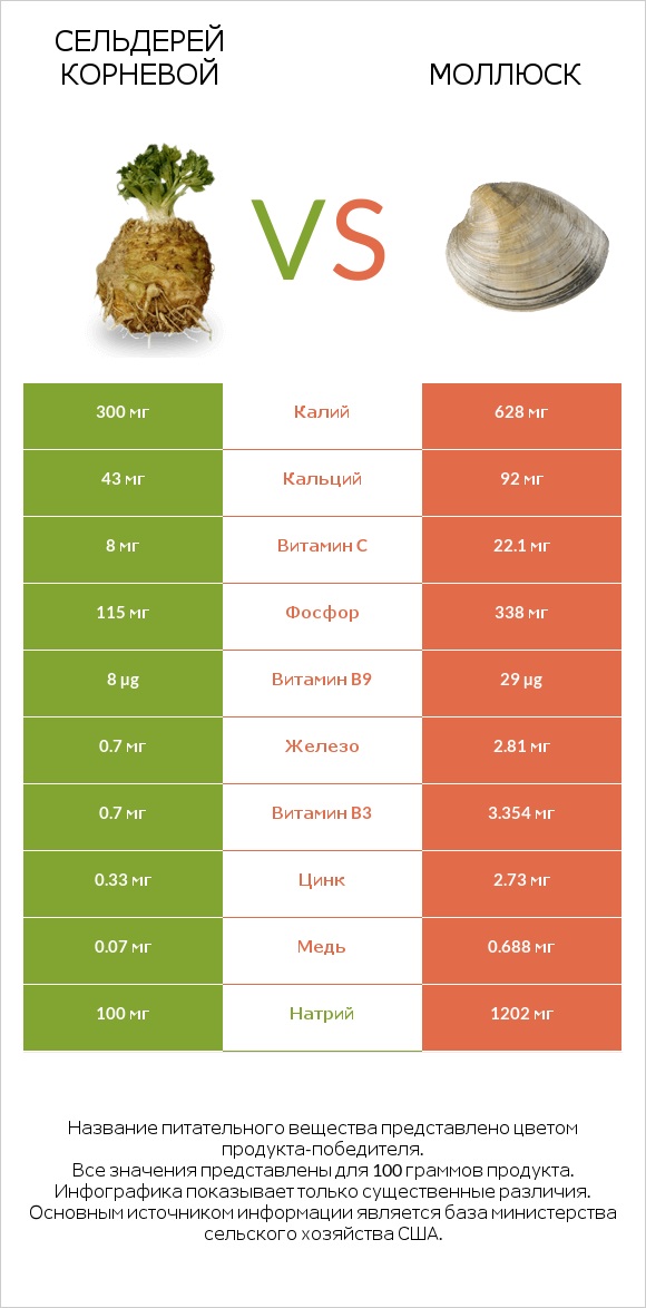 Сельдерей корневой vs Моллюск infographic