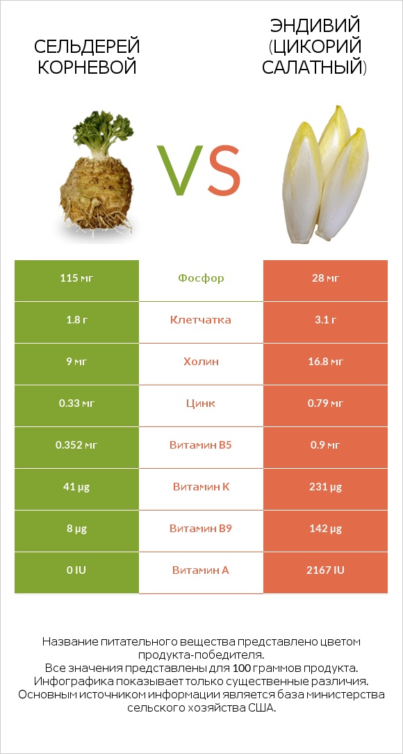 Сельдерей корневой vs Эндивий infographic