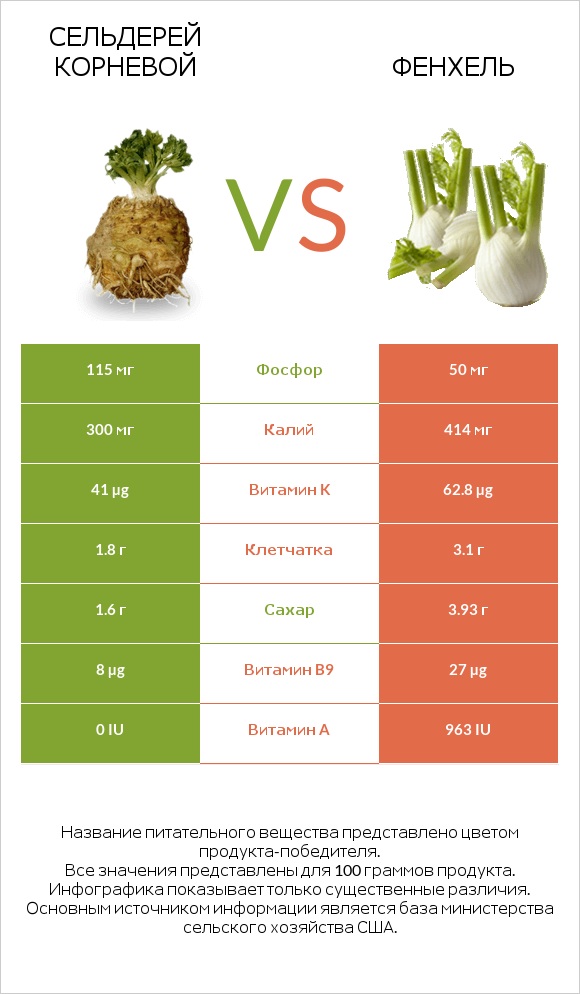 Сельдерей корневой vs Фенхель infographic