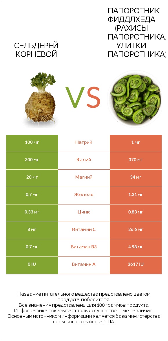 Сельдерей корневой vs Fiddlehead ferns infographic