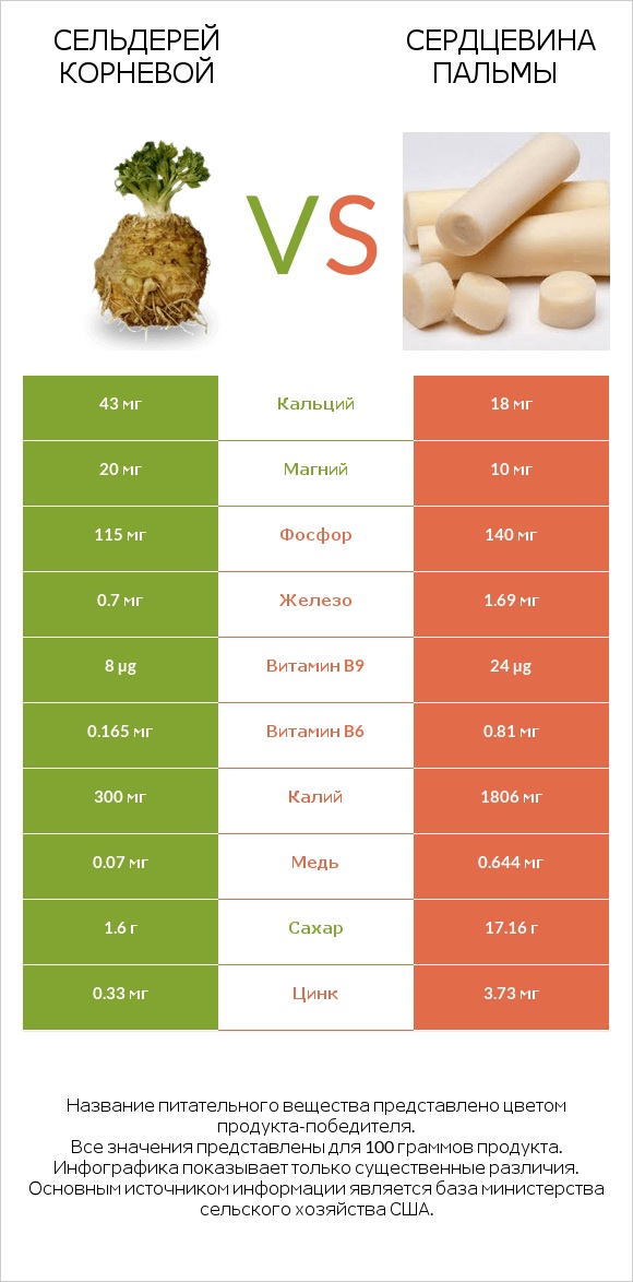 Сельдерей корневой vs Сердцевина пальмы infographic