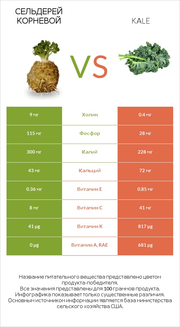 Сельдерей корневой vs Kale infographic