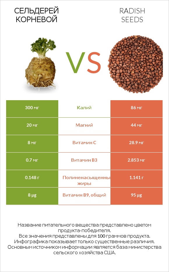 Сельдерей корневой vs Radish seeds infographic