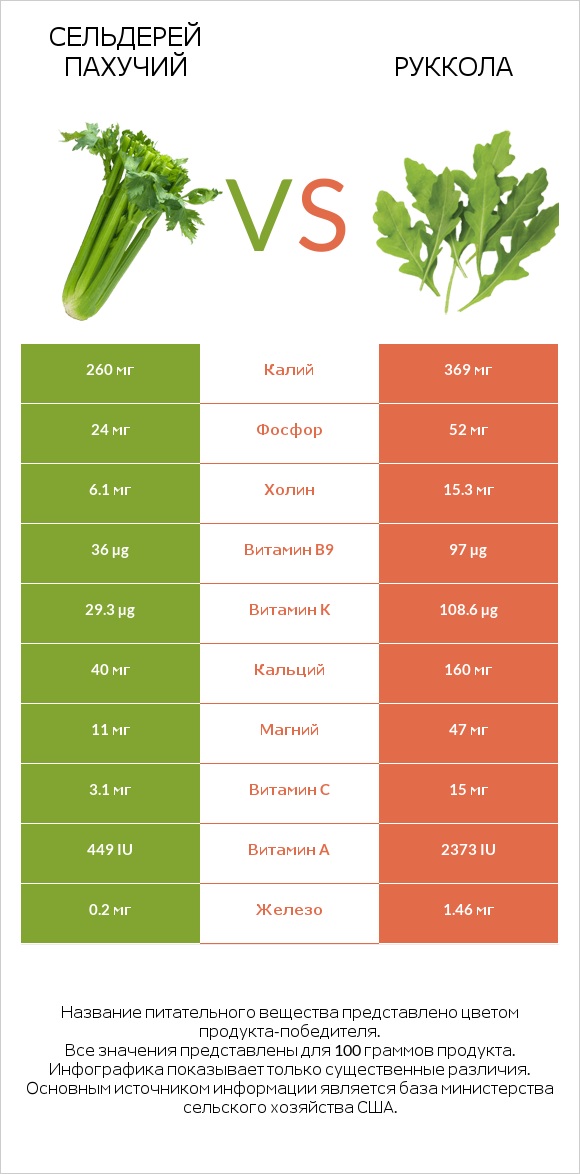 Сельдерей пахучий vs Руккола infographic