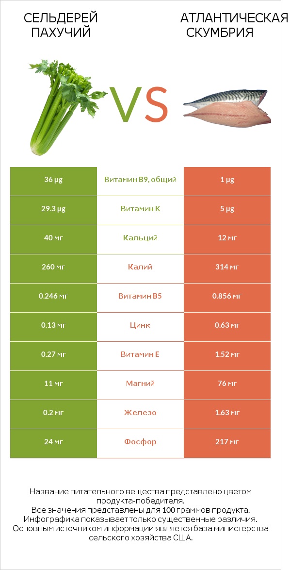 Сельдерей пахучий vs Атлантическая скумбрия infographic