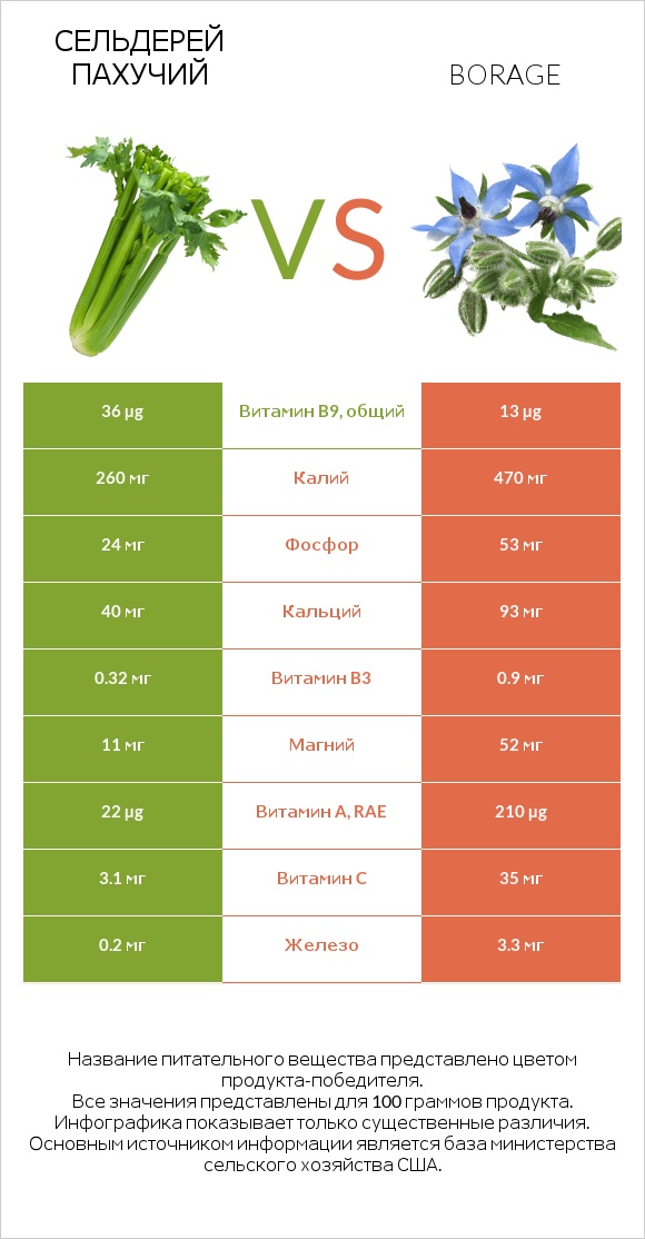 Сельдерей пахучий vs Бурачник лекарственный infographic