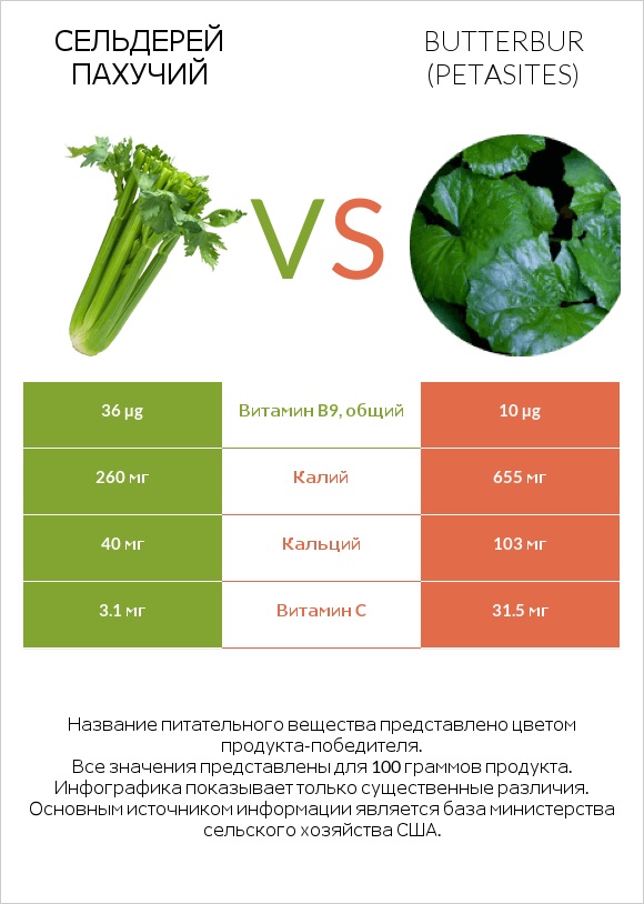 Сельдерей пахучий vs Белокопытник infographic