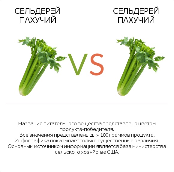 Сельдерей пахучий vs Сельдерей пахучий infographic