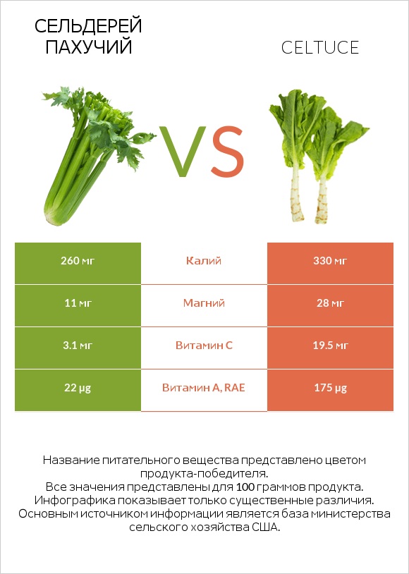 Сельдерей пахучий vs Спаржевый салат infographic