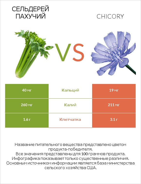 Сельдерей пахучий vs Цикорий обыкновенный infographic