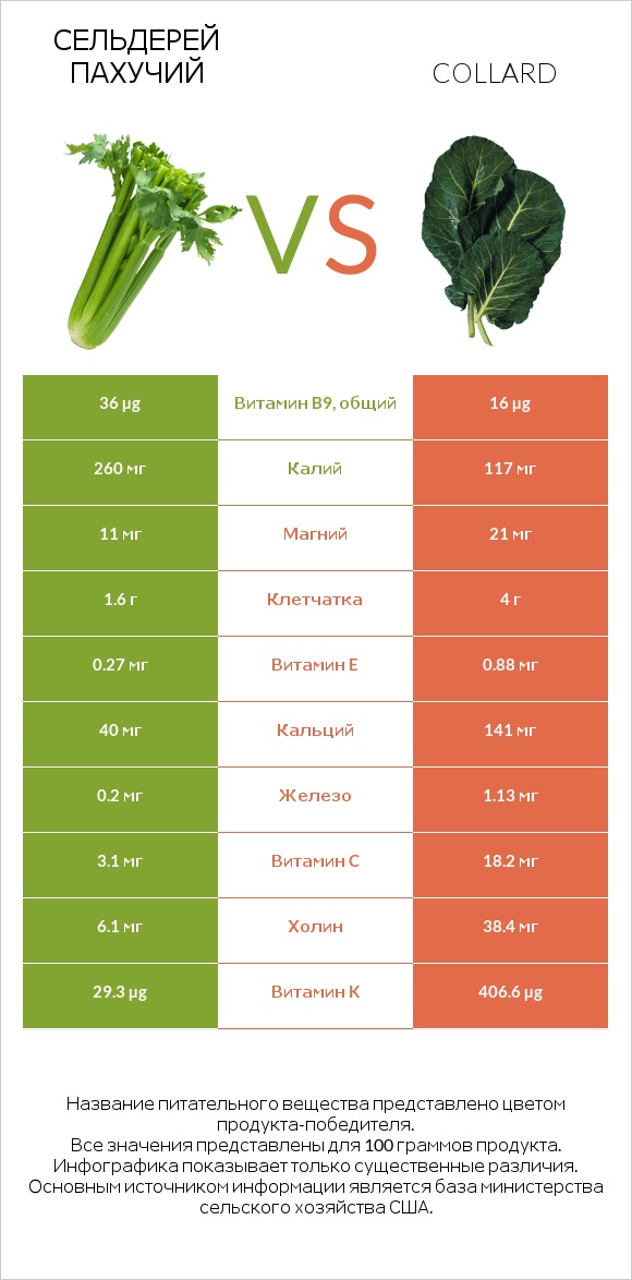 Сельдерей пахучий vs Коллард (капуста листовая) infographic