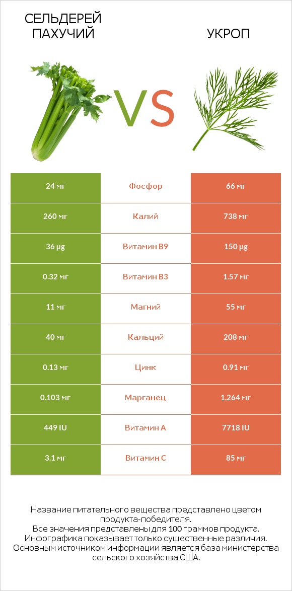 Сельдерей пахучий vs Укроп infographic