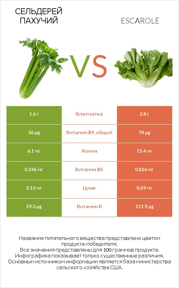 Сельдерей пахучий vs Салат Эскарол (эскариоль) infographic