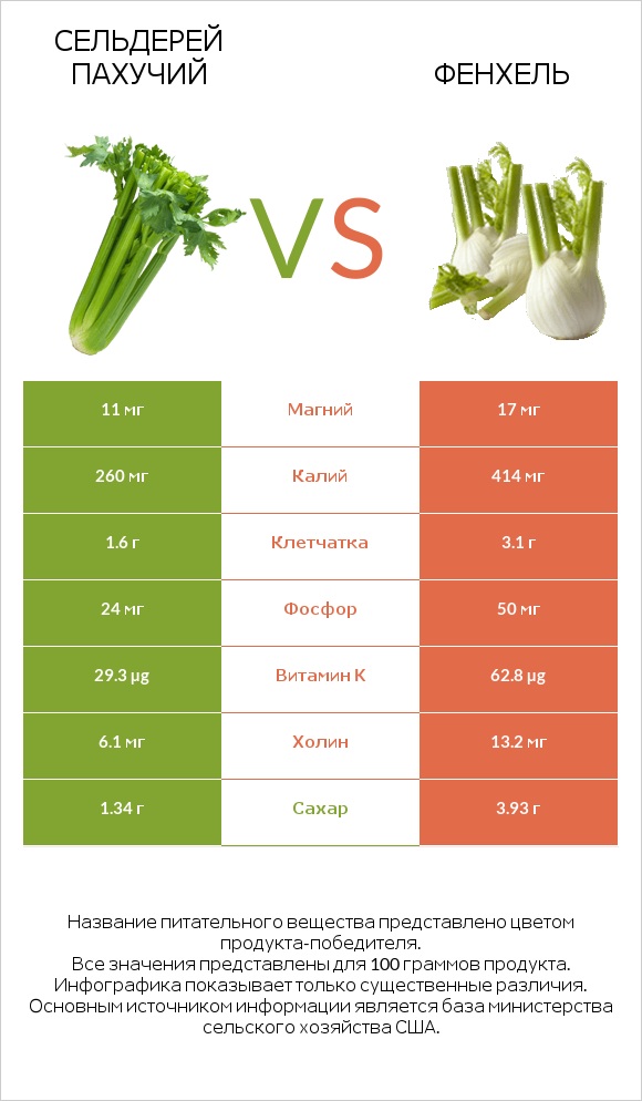 Сельдерей пахучий vs Фенхель infographic