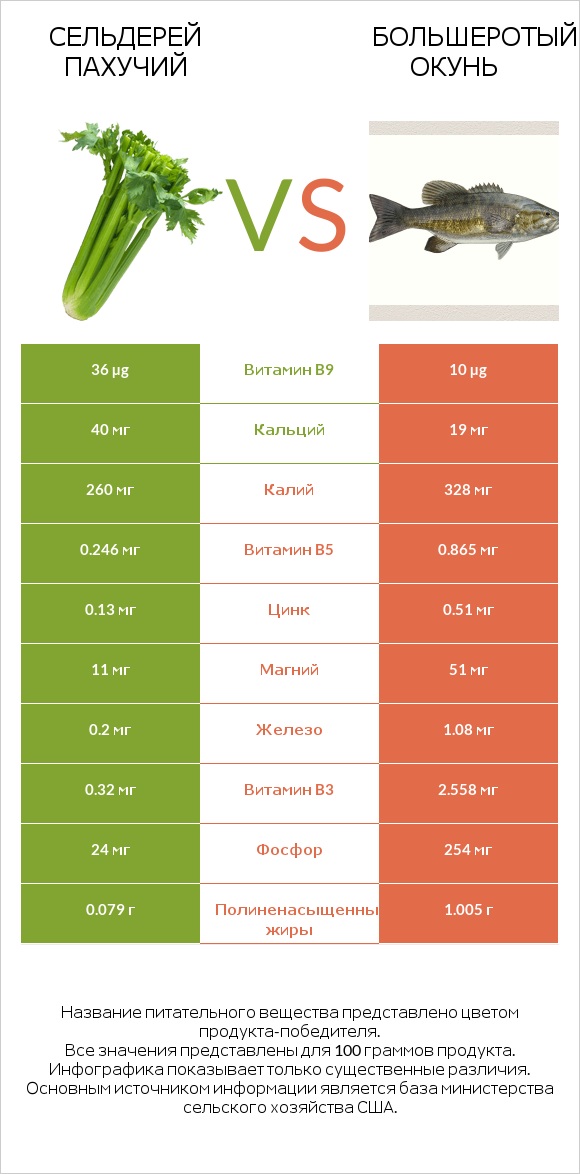 Сельдерей пахучий vs Большеротый окунь infographic