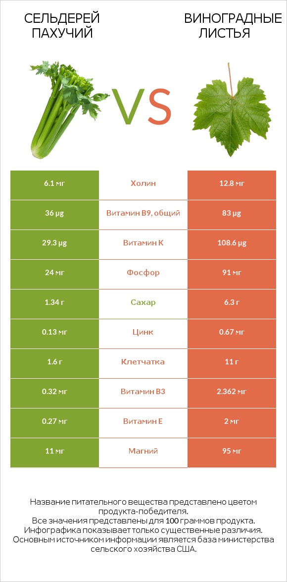 Сельдерей пахучий vs Виноградные листья infographic