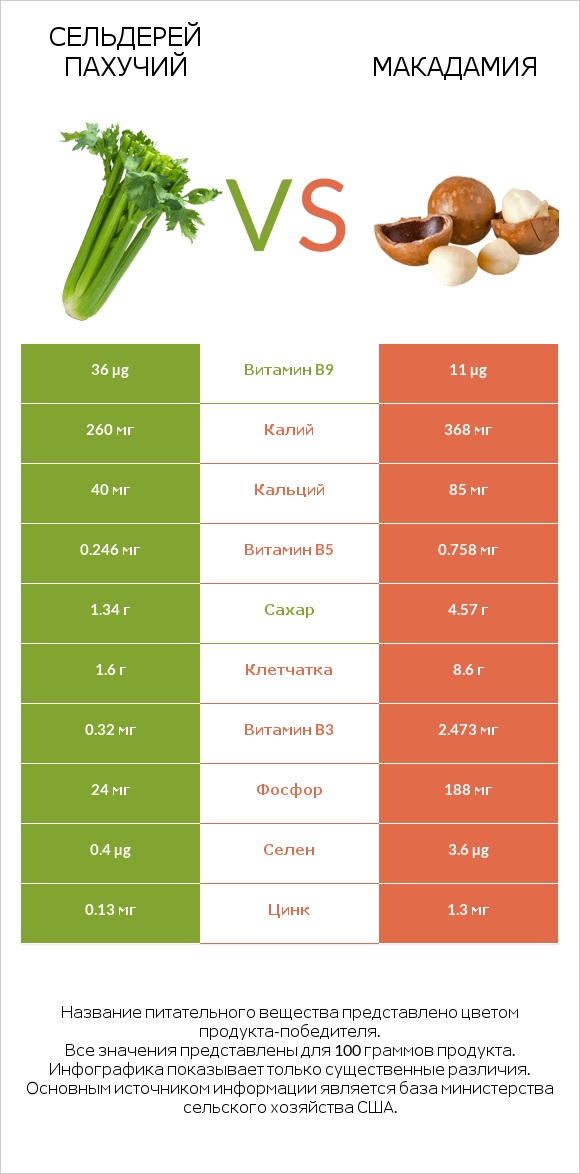 Сельдерей пахучий vs Макадамия infographic