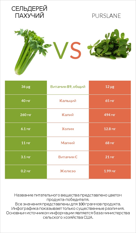 Сельдерей пахучий vs Портулак огородный infographic