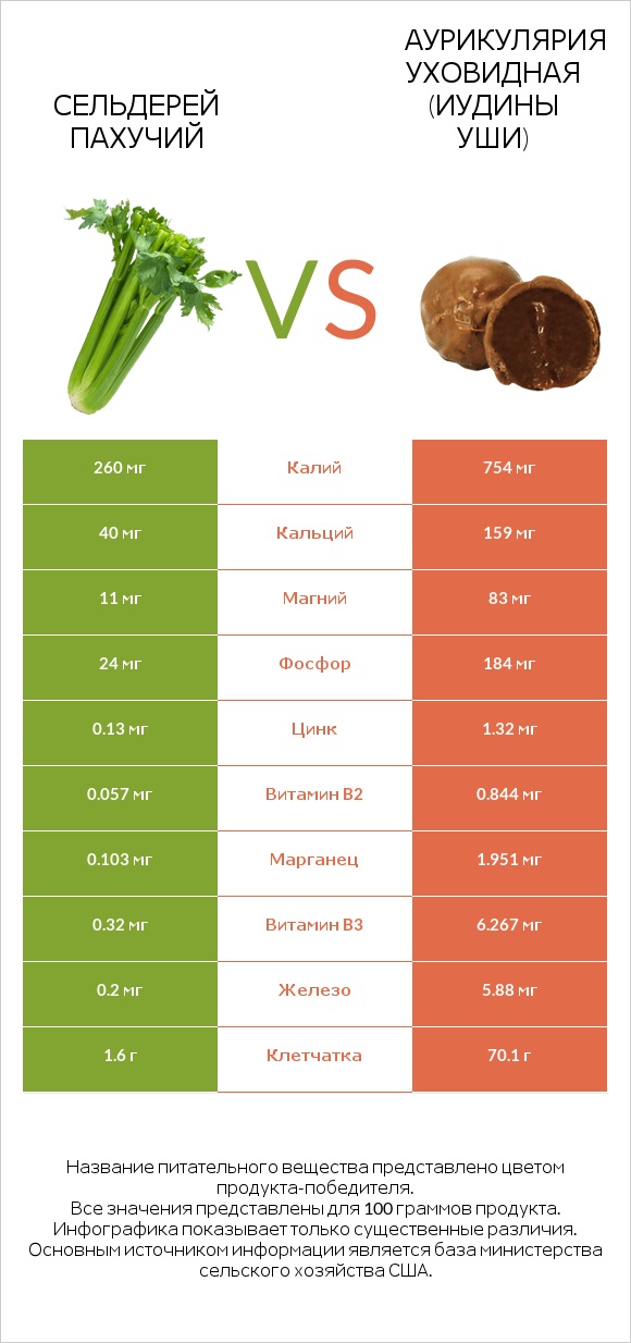 Сельдерей пахучий vs Аурикулярия уховидная (Иудины уши) infographic