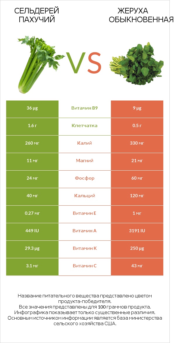 Сельдерей пахучий vs Жеруха обыкновенная infographic