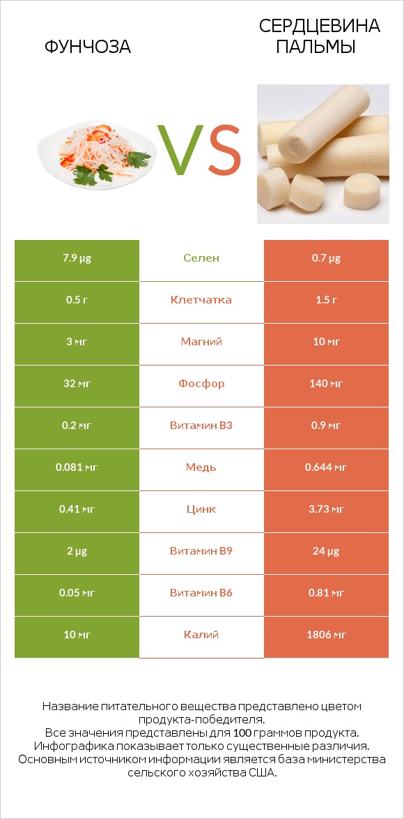 Фунчоза vs Сердцевина пальмы infographic