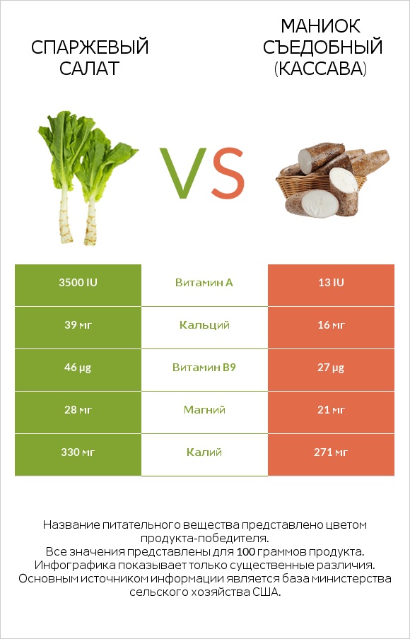 Спаржевый салат vs Маниок съедобный (кассава) infographic