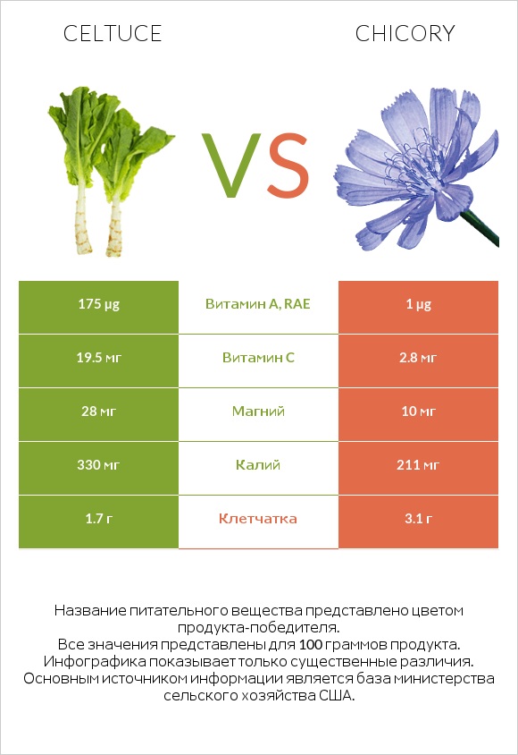 Celtuce vs Chicory infographic