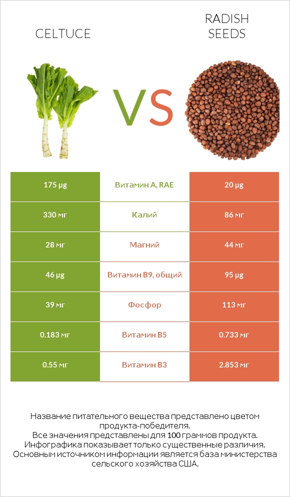Celtuce vs Radish seeds infographic