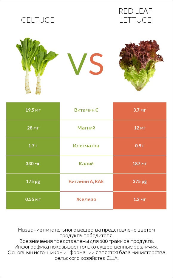 Celtuce vs Red leaf lettuce infographic