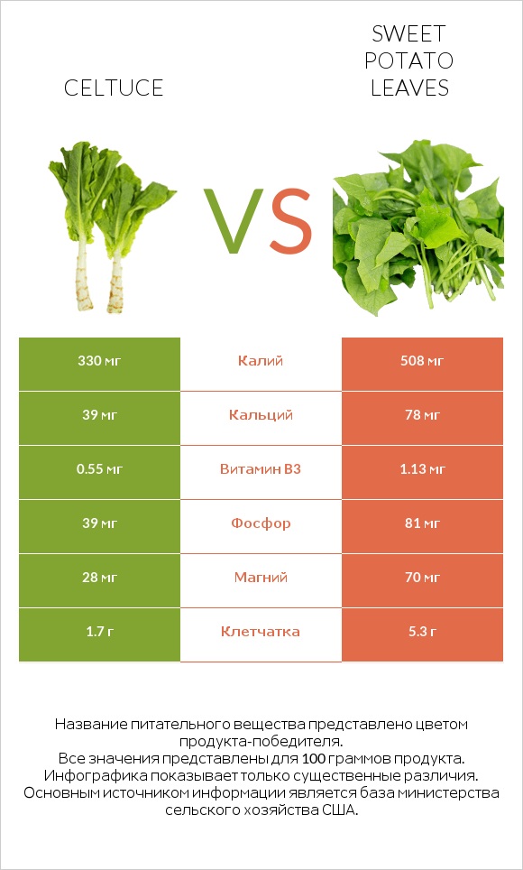 Celtuce vs Sweet potato leaves infographic