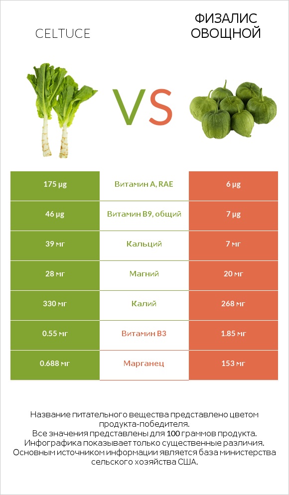 Celtuce vs Физалис овощной infographic