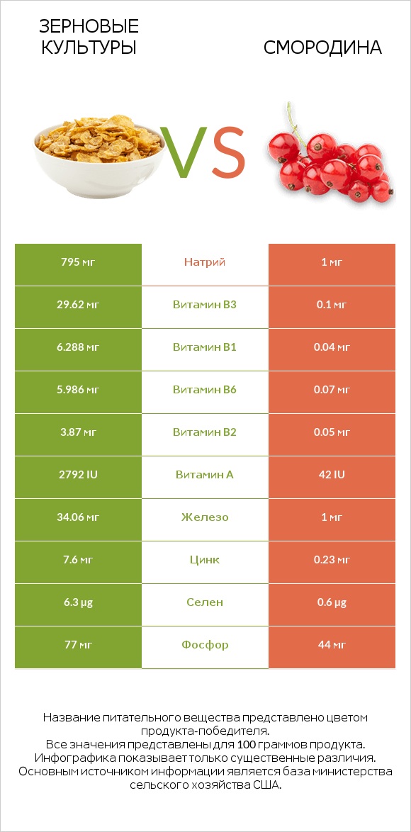 Зерновые культуры vs Смородина infographic