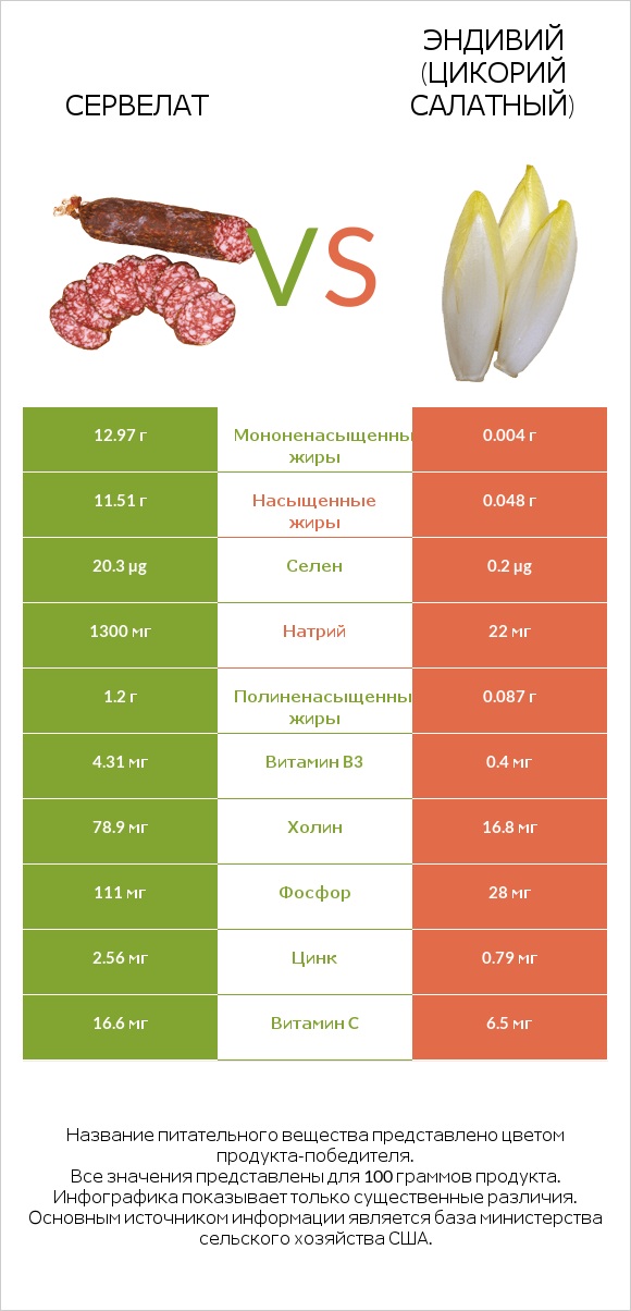 Сервелат vs Эндивий (Цикорий салатный)  infographic