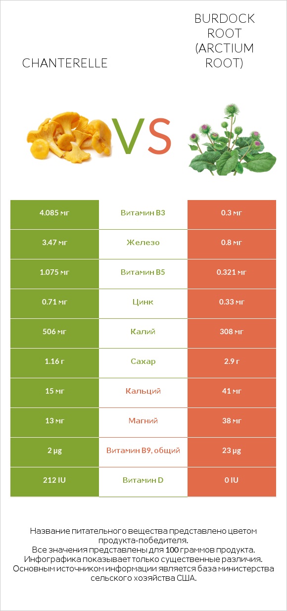 Chanterelle vs Burdock root infographic