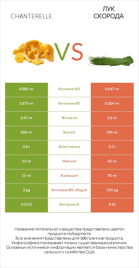 Chanterelle vs Лук скорода infographic