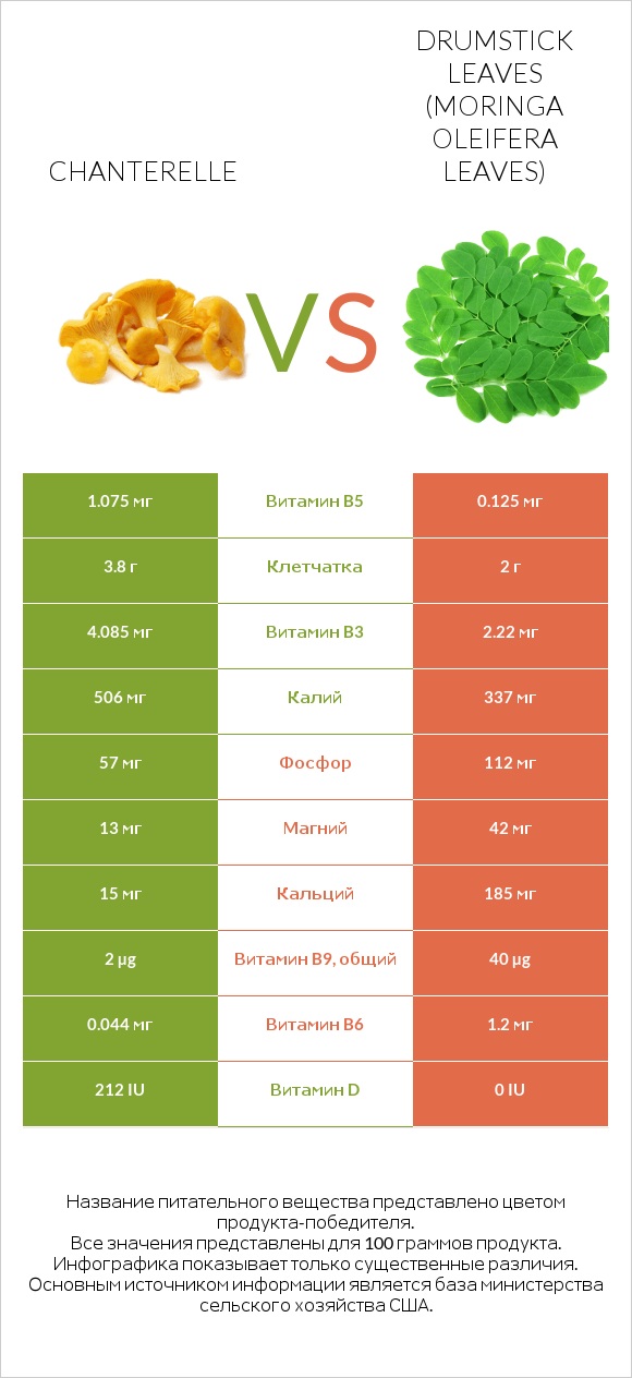 Chanterelle vs Drumstick leaves infographic